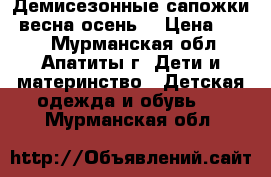 Демисезонные сапожки (весна-осень) › Цена ­ 300 - Мурманская обл., Апатиты г. Дети и материнство » Детская одежда и обувь   . Мурманская обл.